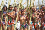 Young virgins at the 2010 Umhlanga Reed Dance in Swaziland